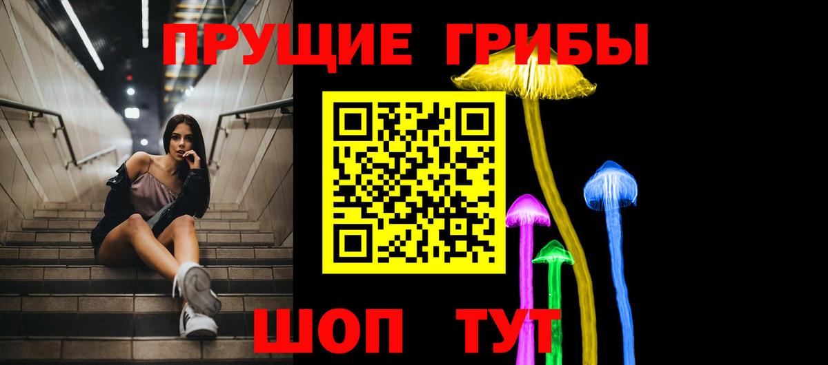 Псилоцибиновые грибы Cubensis Сочи